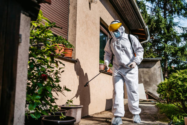 Best Local Pest Control Services  in Millington, NJ